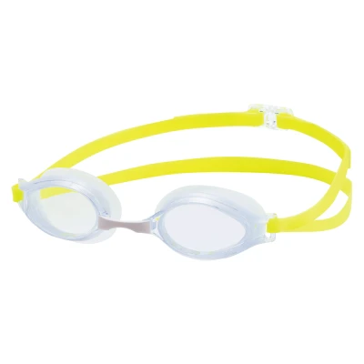 SWANS GAFA SR-31NTR 1 SWANS GAFA SR-31NTR